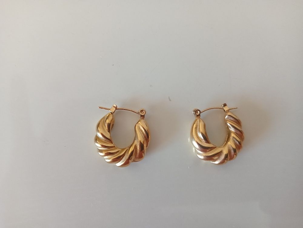 Boucles d'oreilles 