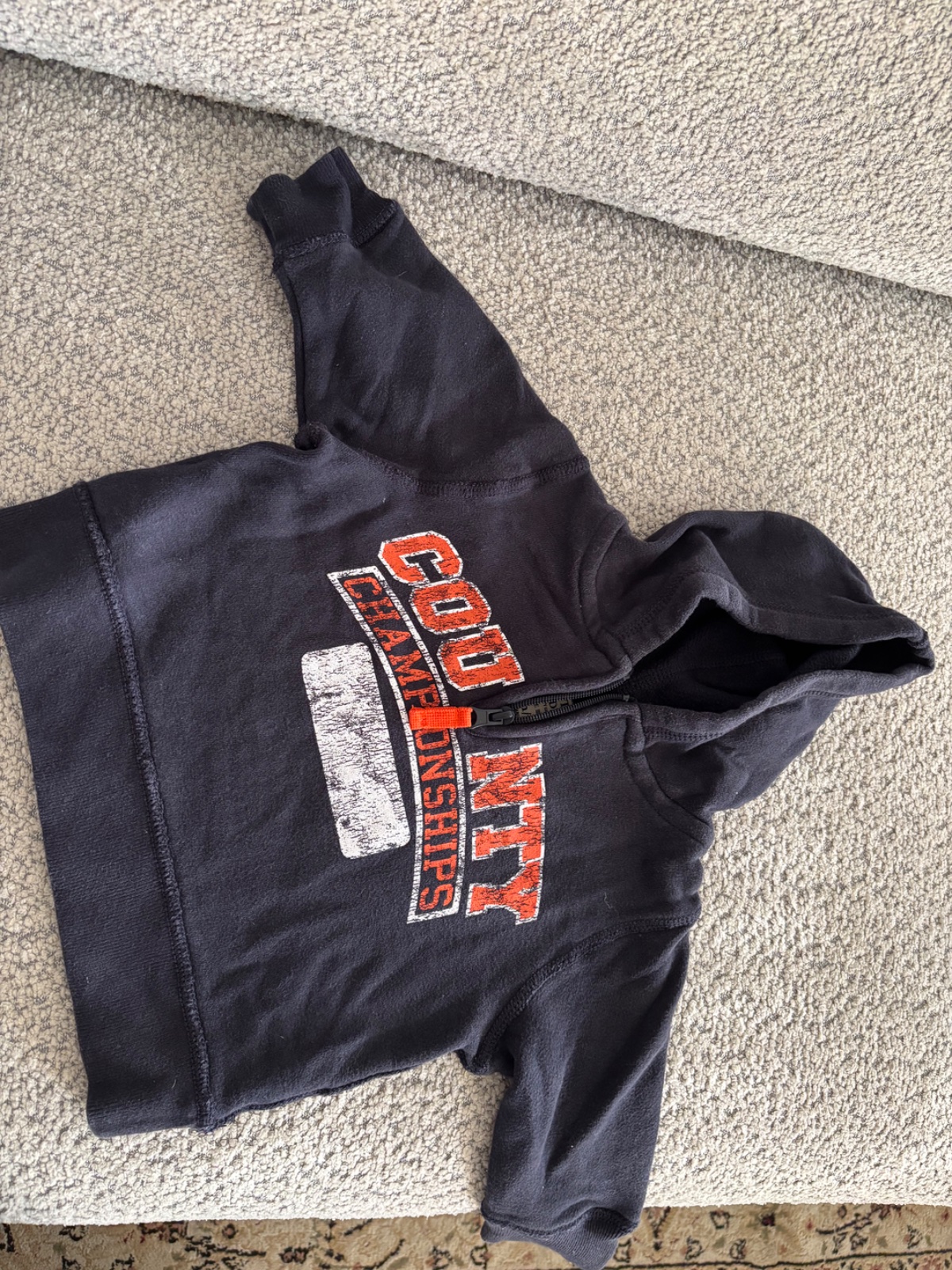 Sweat a capuceh 9 mois 