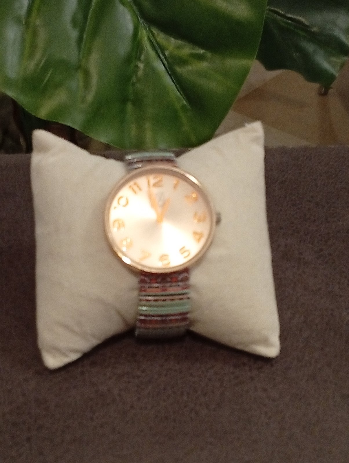 Montre 