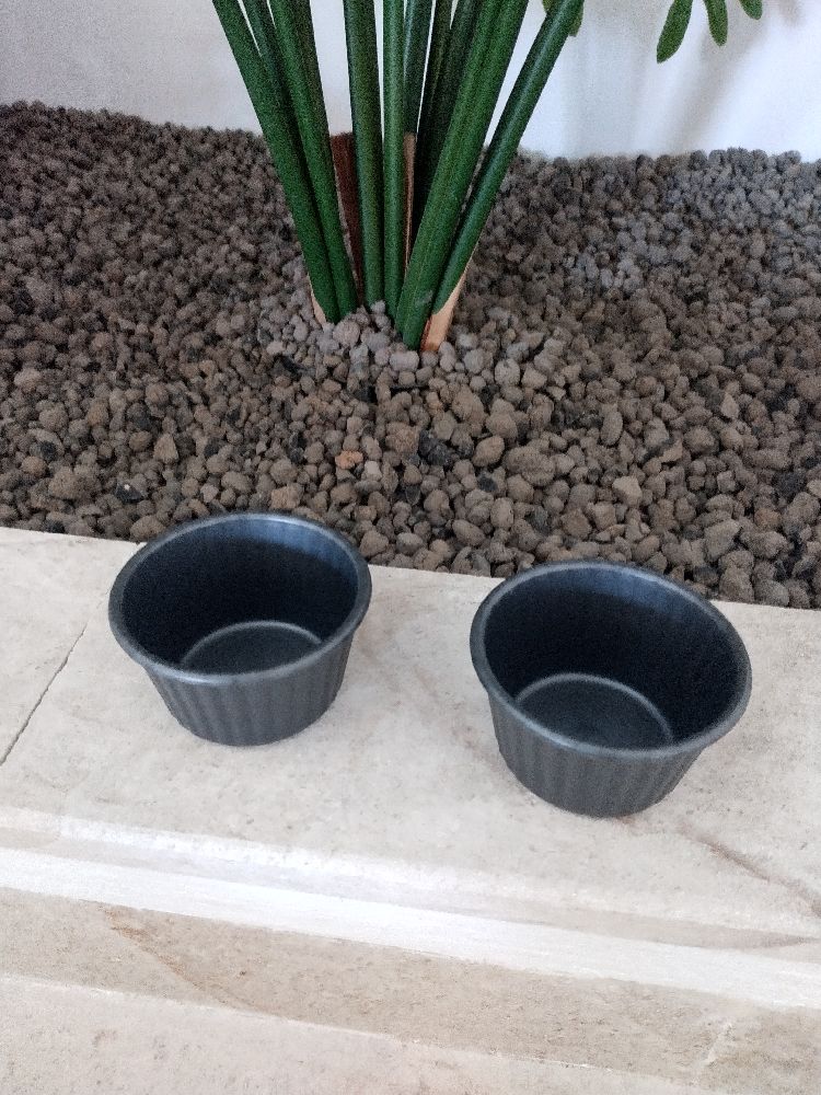 Lot de 2 ramequins Tupperware 