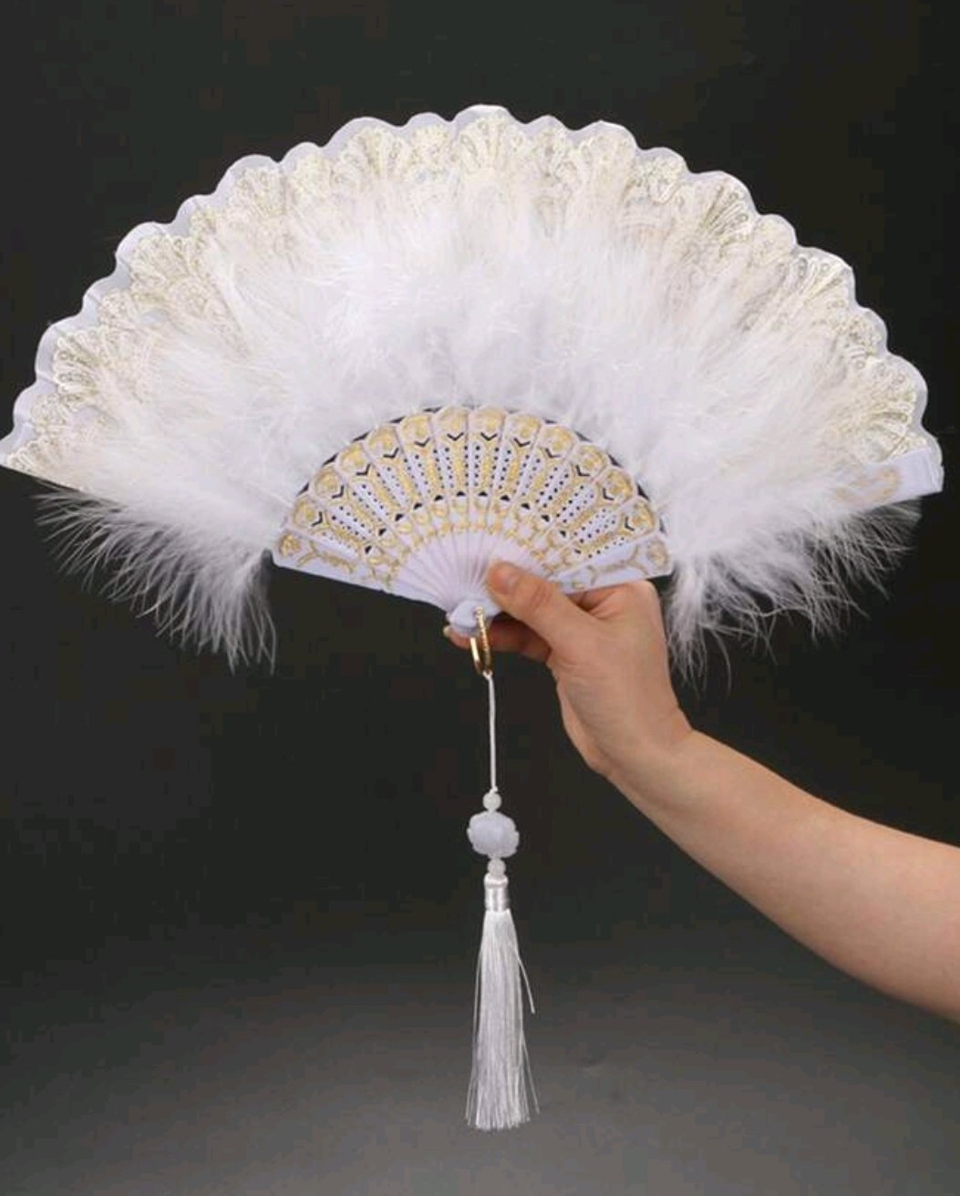 Eventail avec des plumes 