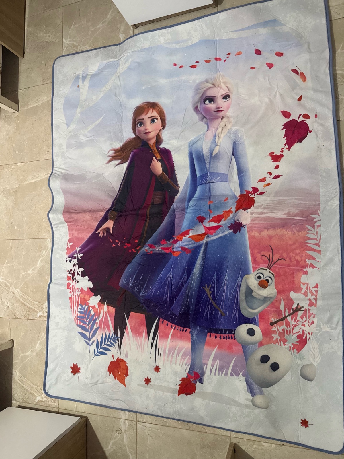 Tapis frozen pour chambre fille 