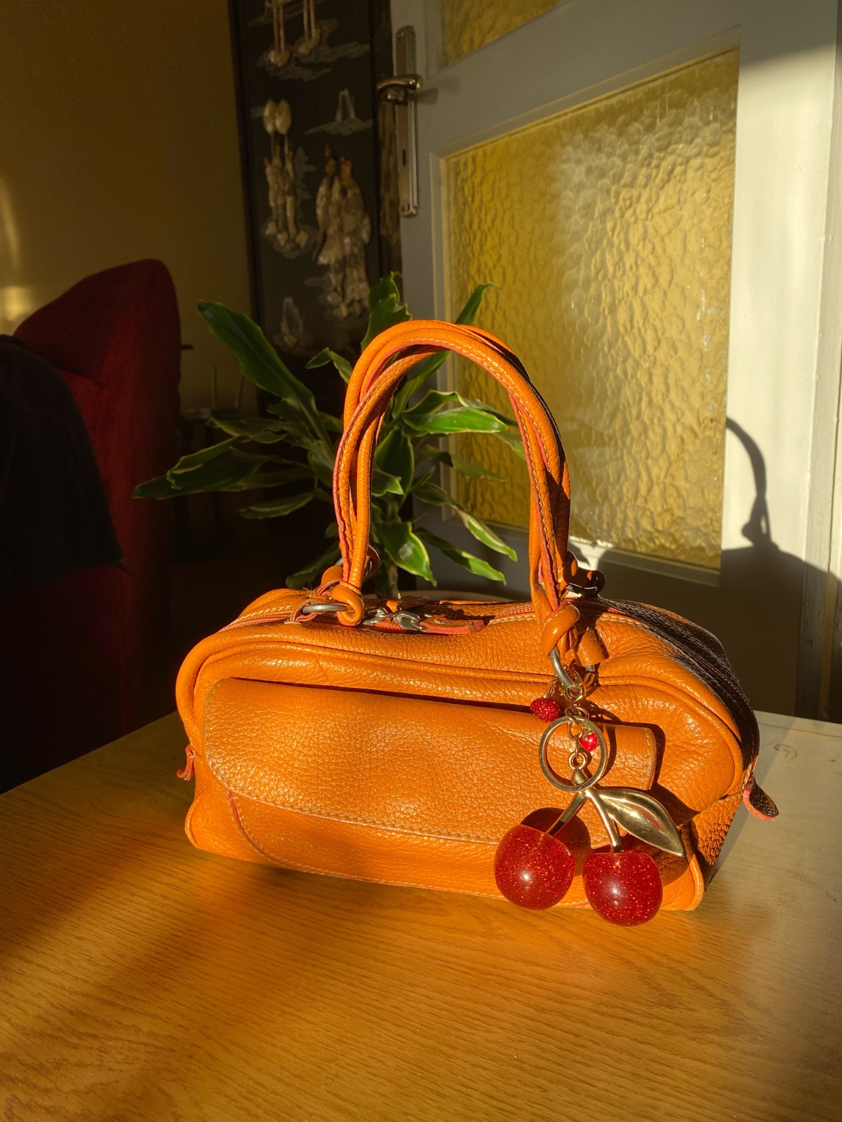 Sac cuir guia's