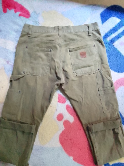 Carhart workwear cargo  pants
