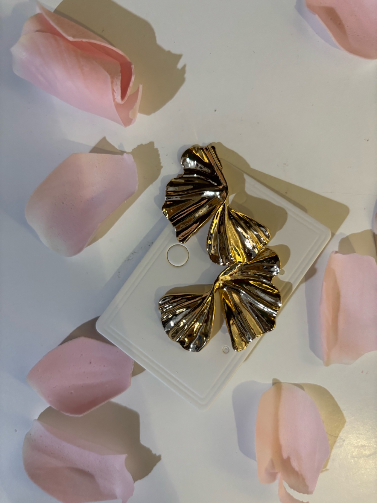 Boucles d'oreiles en acier inoxydable 