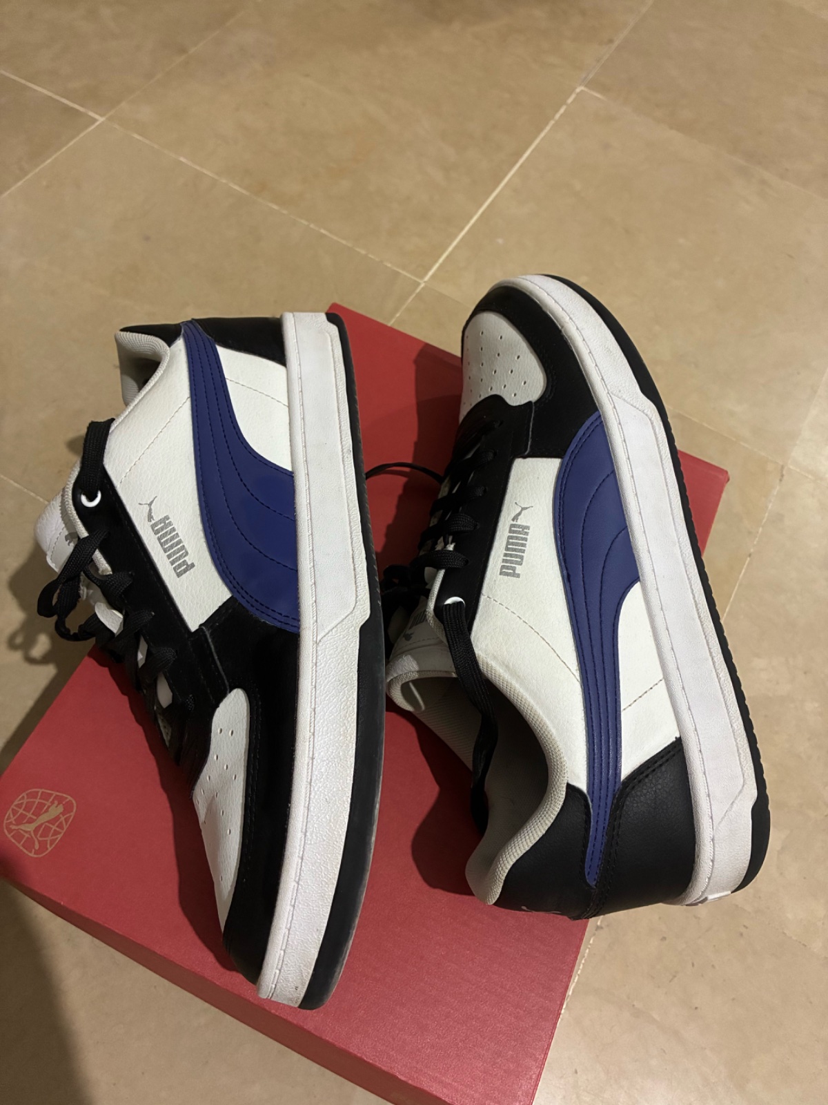 Puma