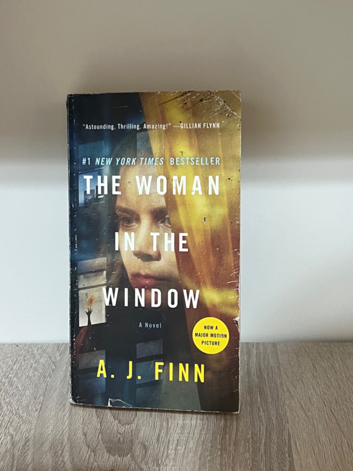 Book the women in the window
