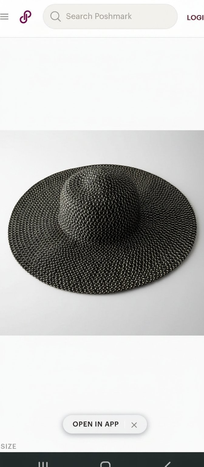 Chapeau Bcbgeneration