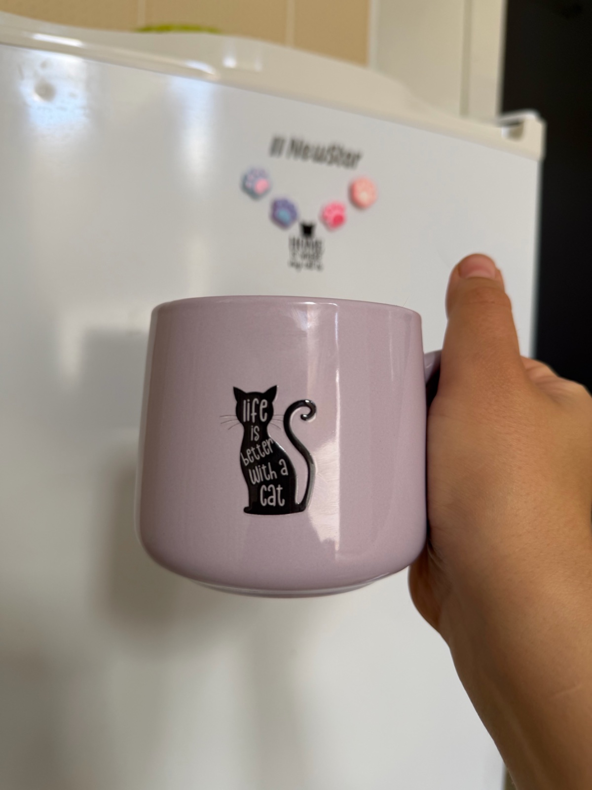 Lot de 12 stickers for cat lovers 😻✨