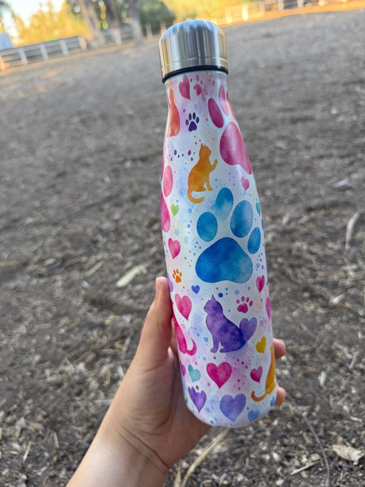 Bouteille d'eau isotherme contenance 500ml 🐾🧡