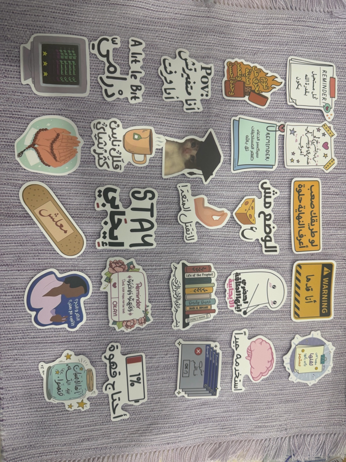 Lot de 30 stickers memes doua fun a✨