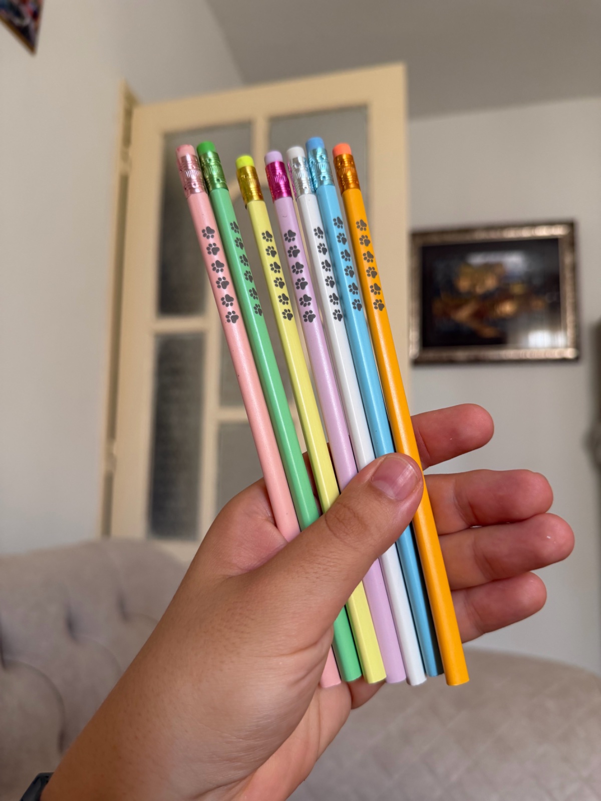 Lot de 4 crayons paw 🐾🐾🐾
