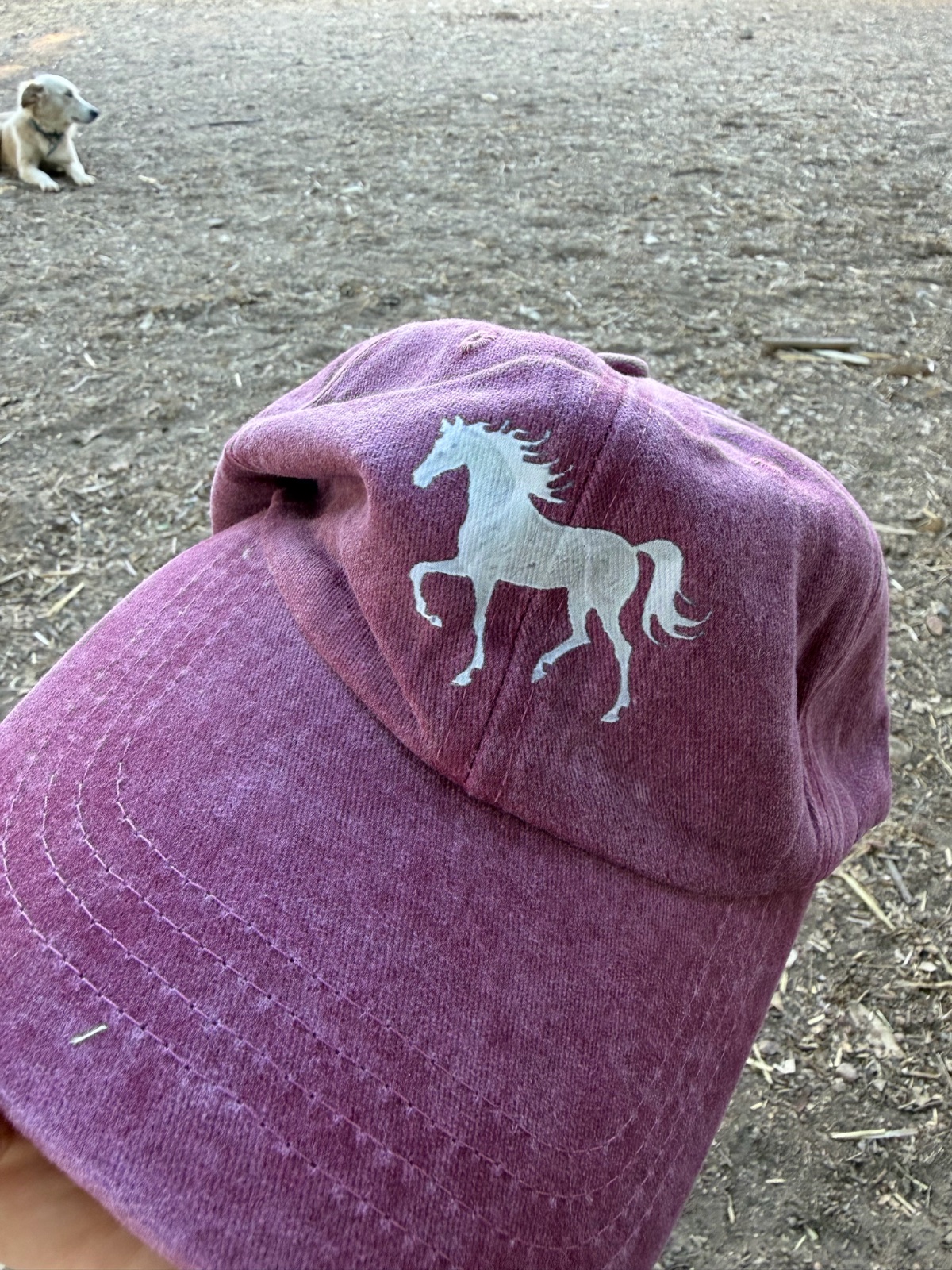 Casquette 🏇🩷✨
