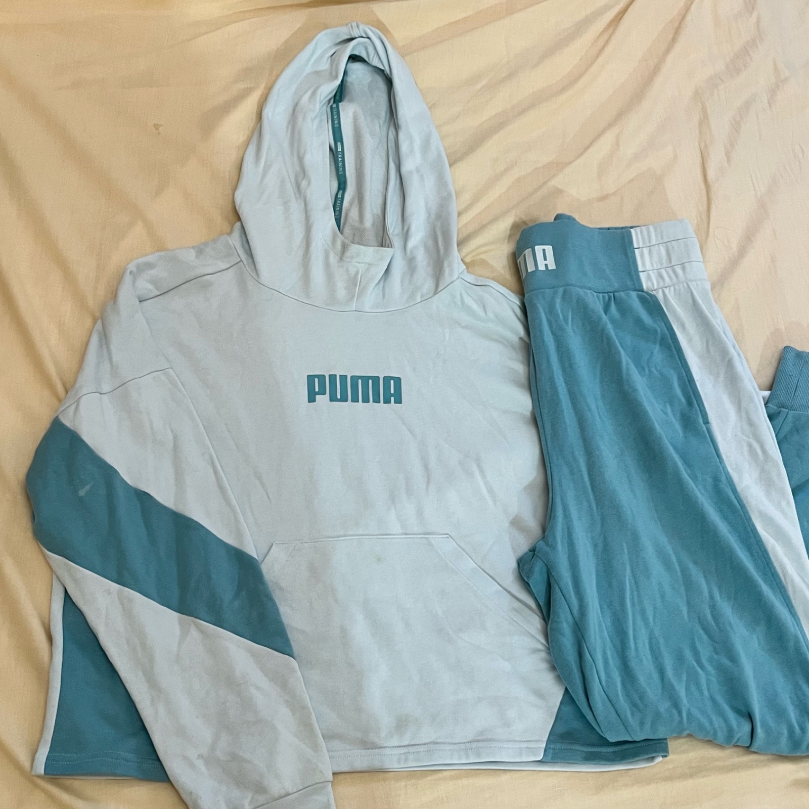 Jogging puma