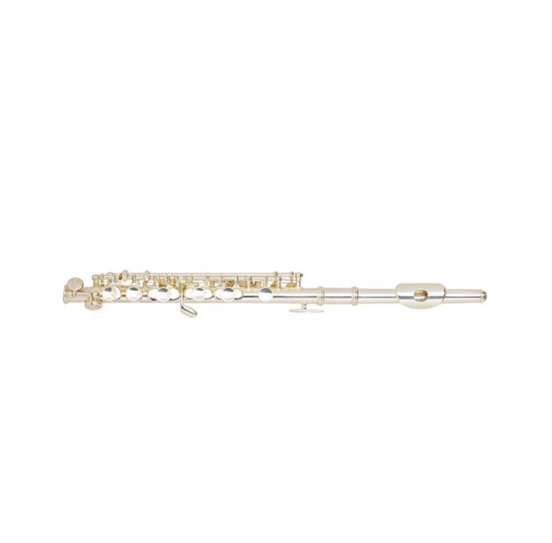 FLUTE PICCOLO SCHUBERT AVEC VALISE