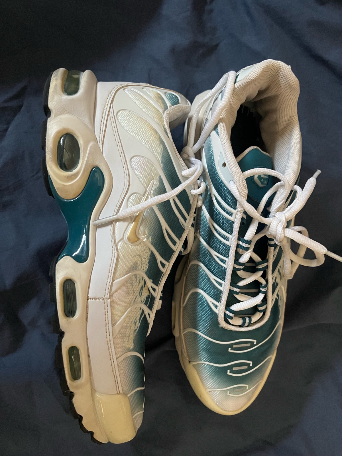 Nike Tn dragon blue 