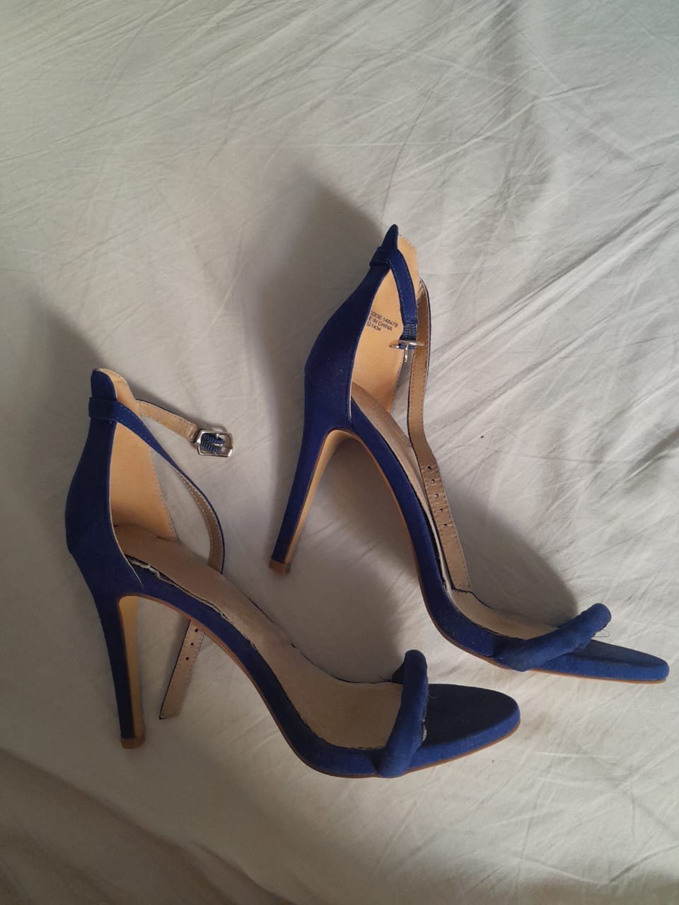 Talon bleu roi