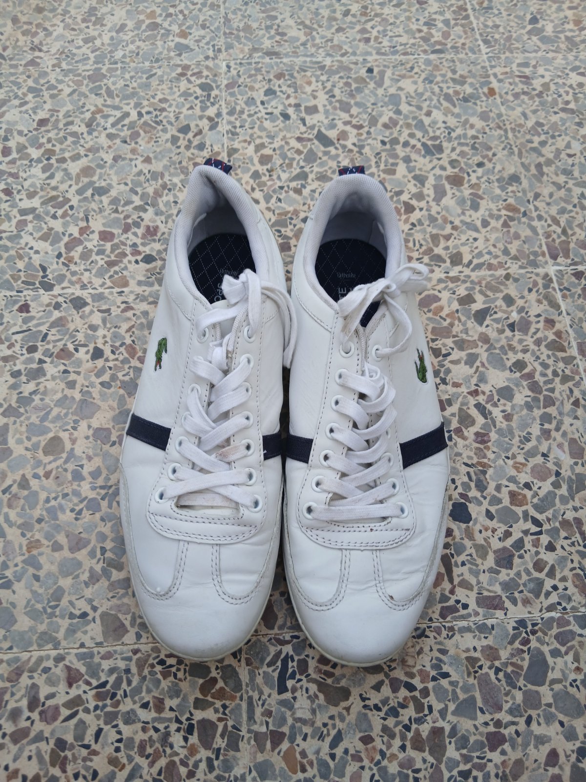 Basket Lacoste homme