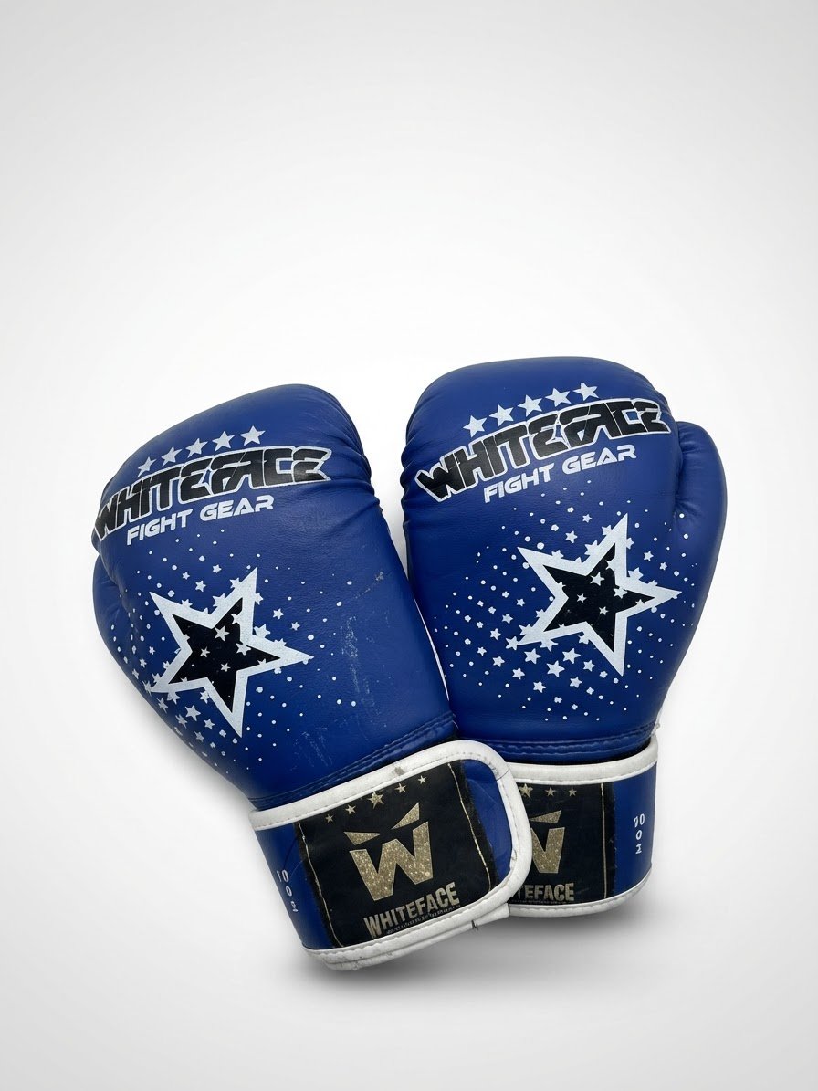 Gant de box professional 