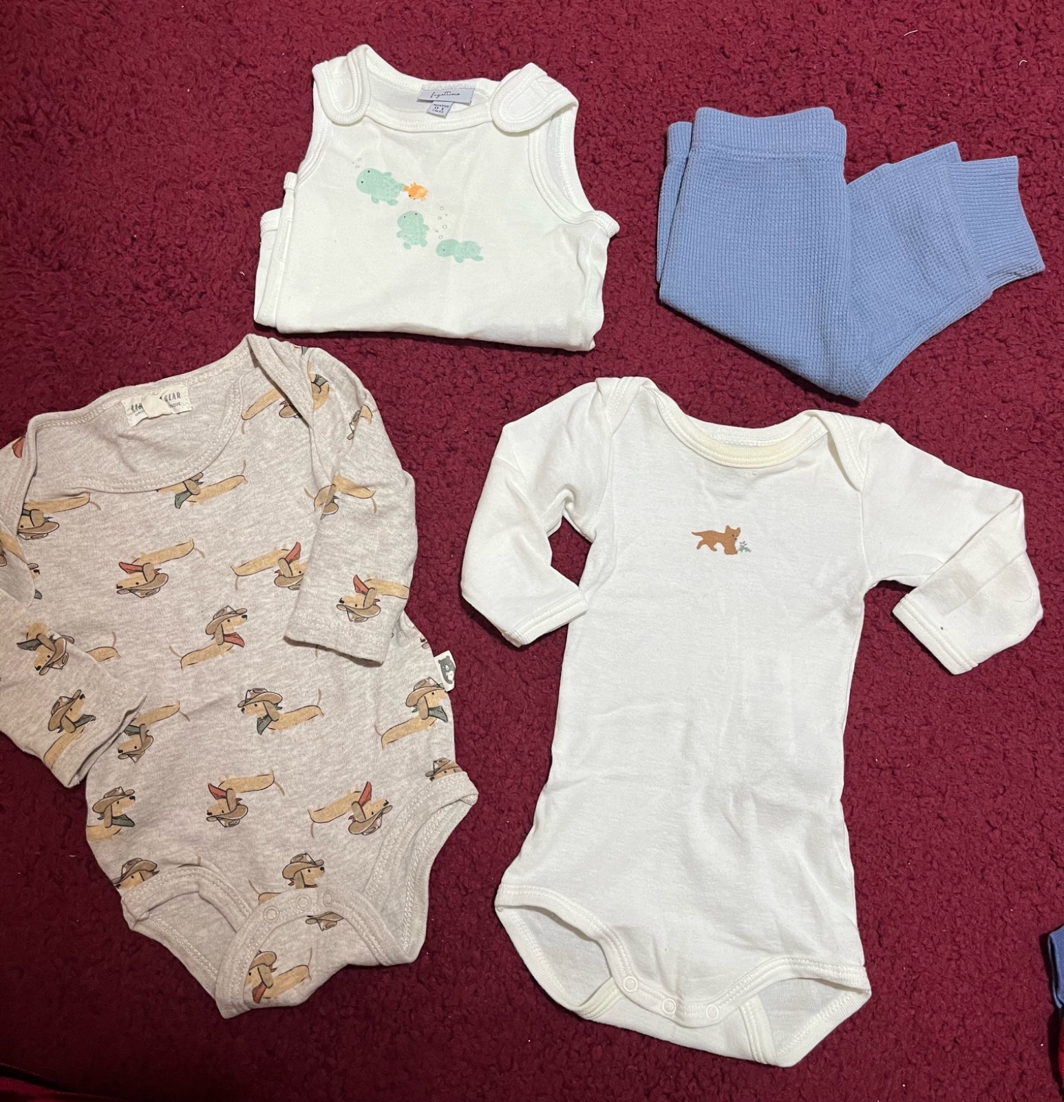 Baby Underwear 