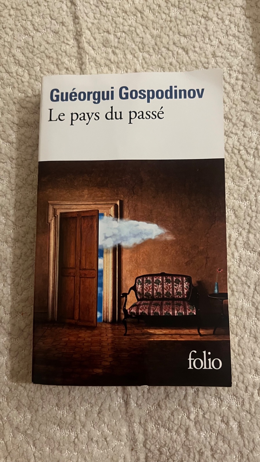 Le pays du passé – Guéorgui Gospodinov (Folio) –ROMAN, très bon état