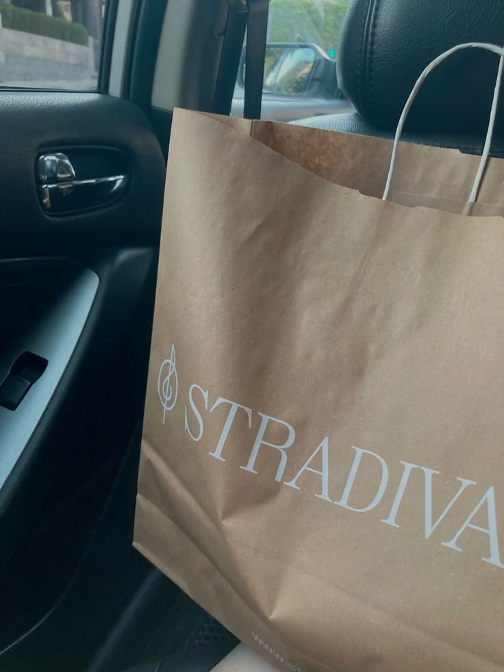  Subliiiiime sac a bandoulière Stradivarius 