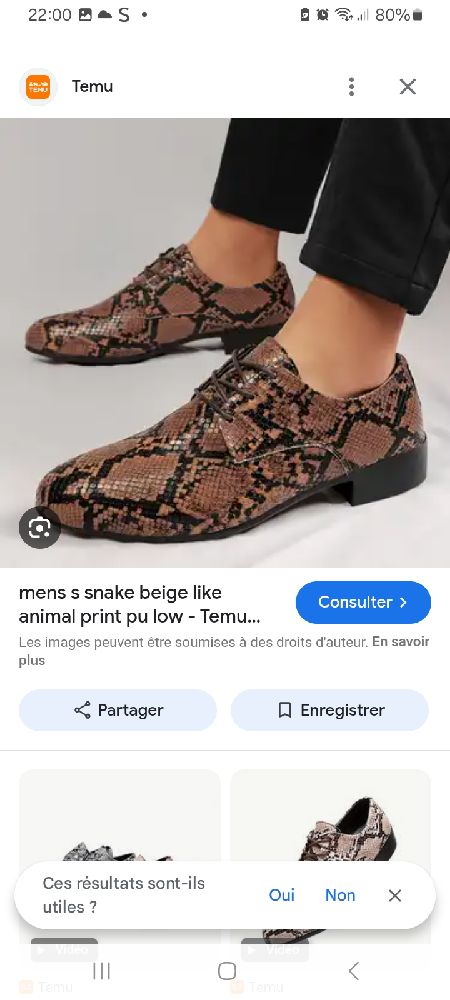 Slip-on python 