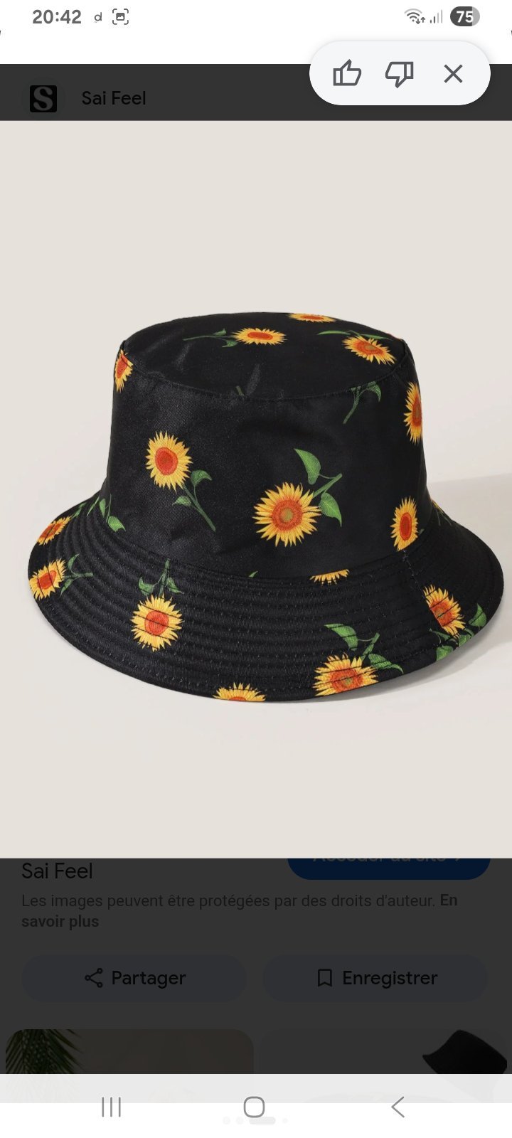 Bob tournesol