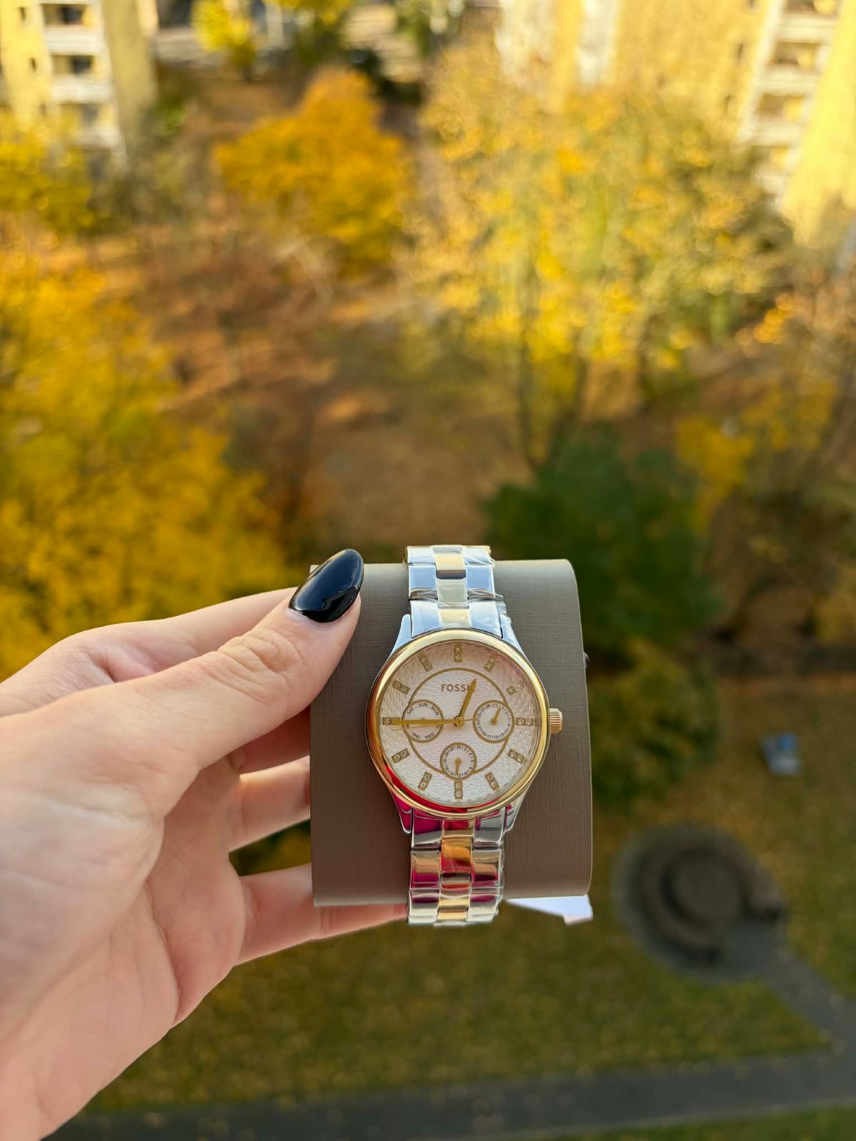 Montre Fossil Neuve 