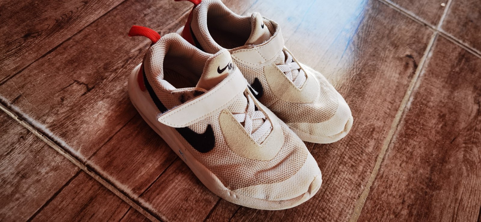 Basket nike
