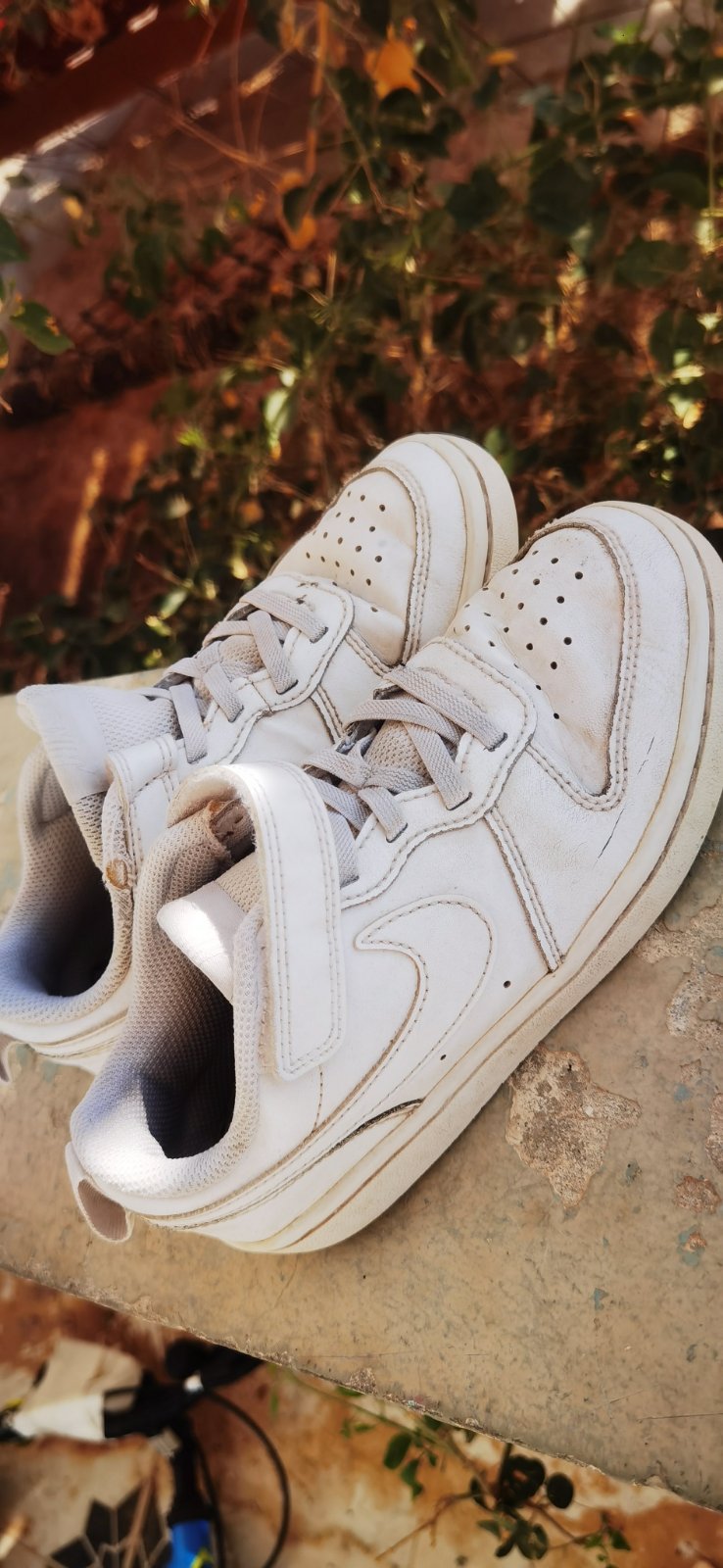 Basket nike 