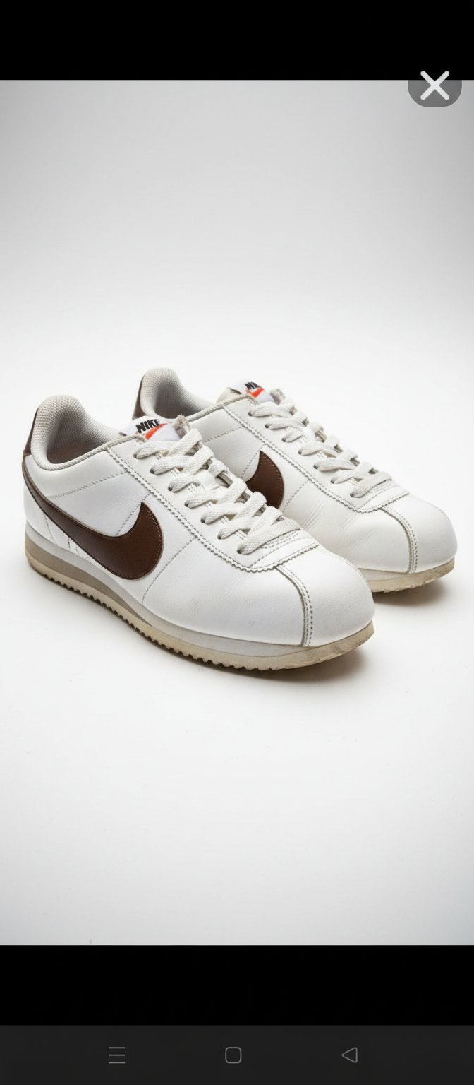 Basket nike authentique 