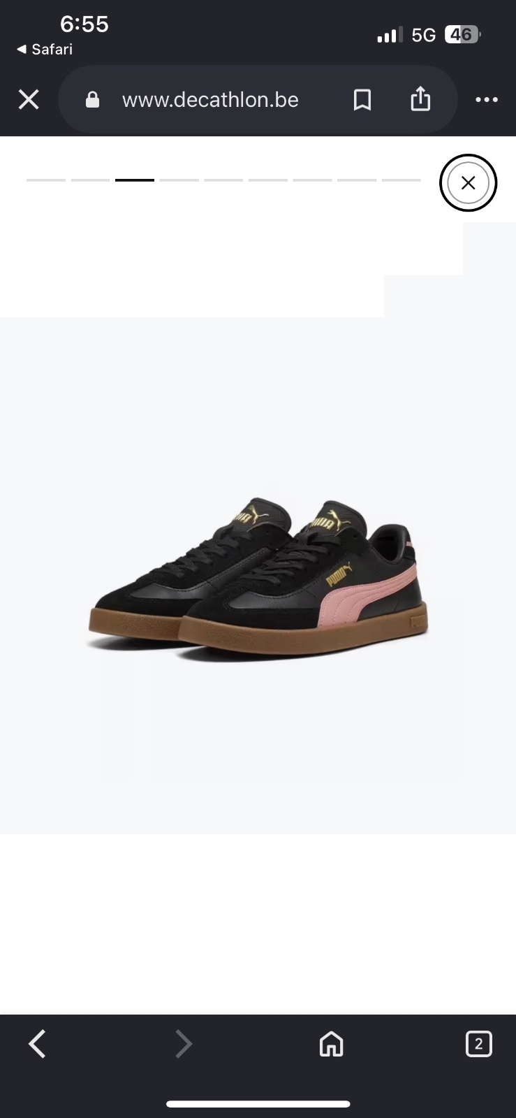 Basket puma