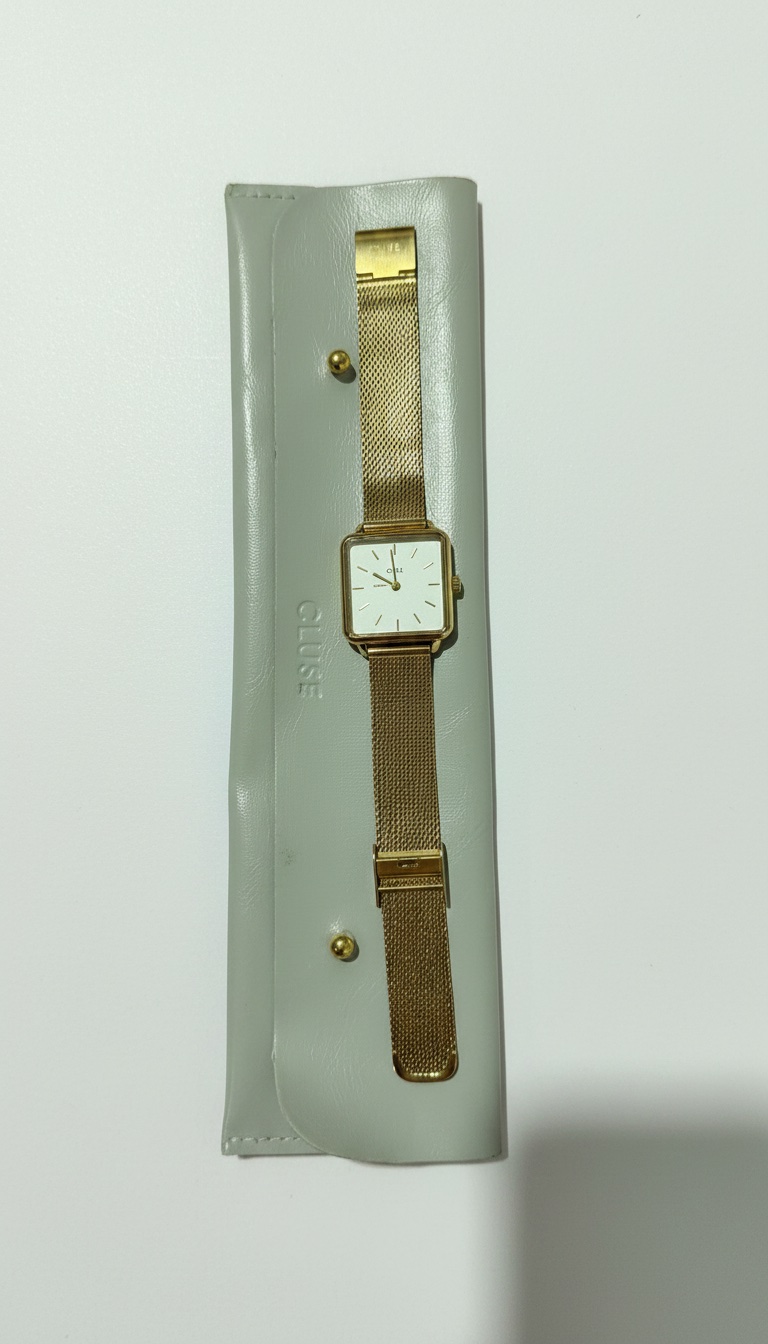 Montre Cluse