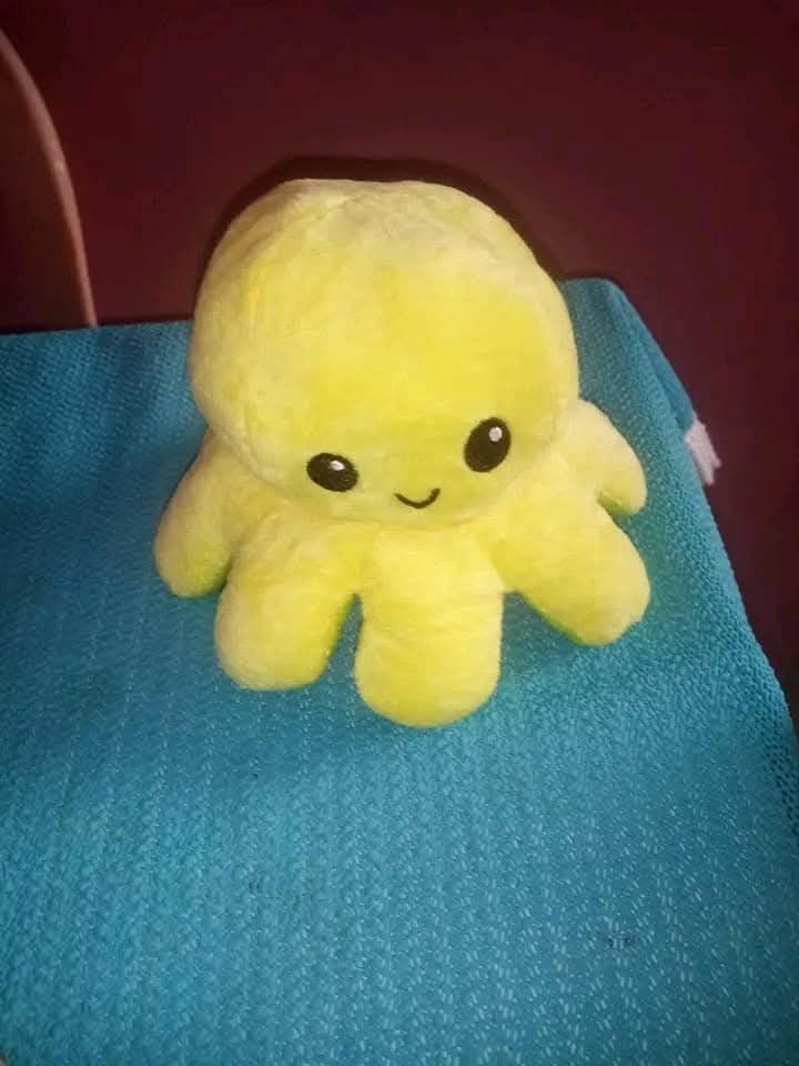 Octopus 