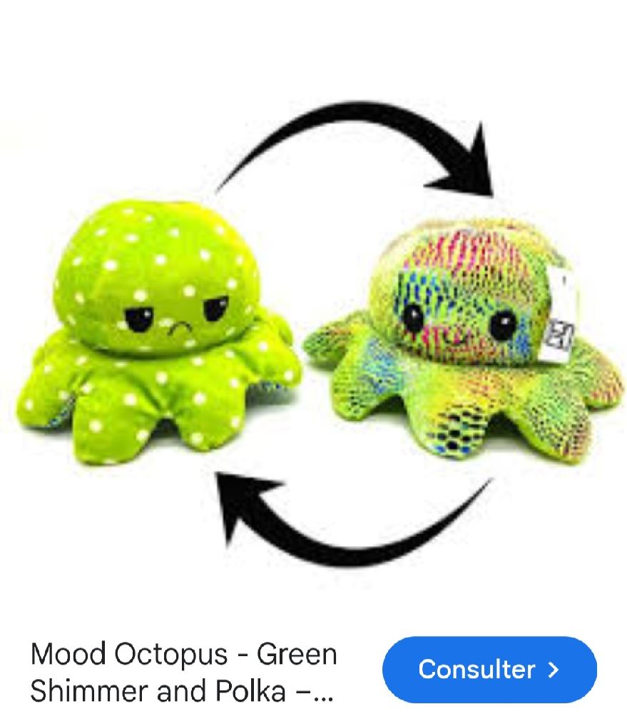 Octopus