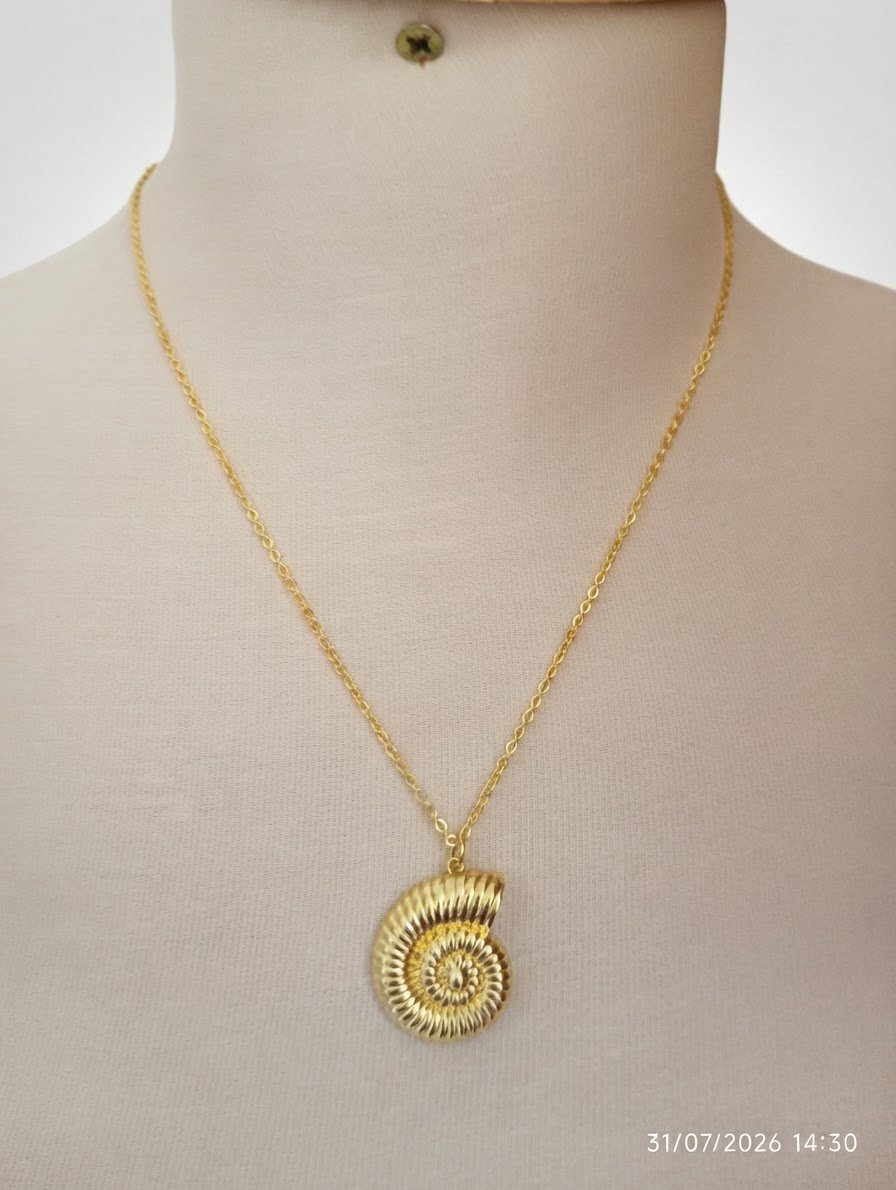 Collier en acier inoxydable 