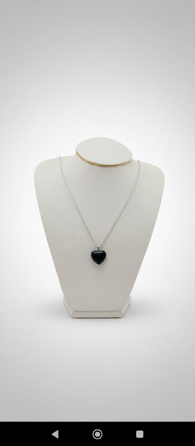 Collier en acier inoxydable 