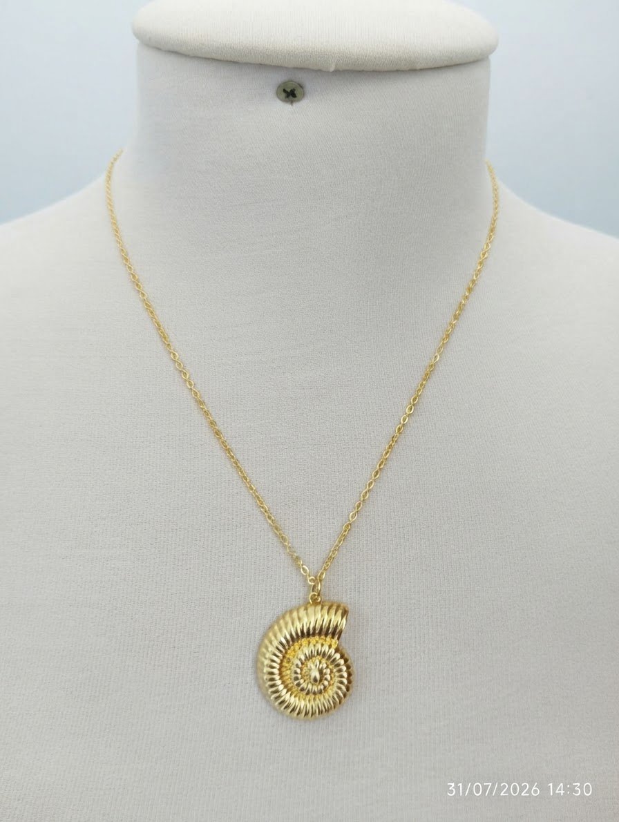 Collier en acier inoxydable 
