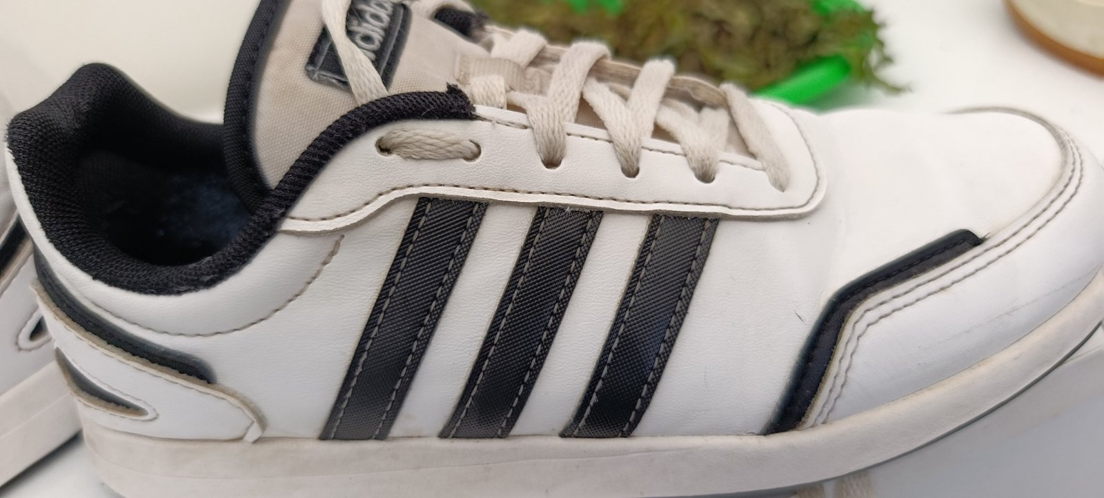 Adidas Original 
