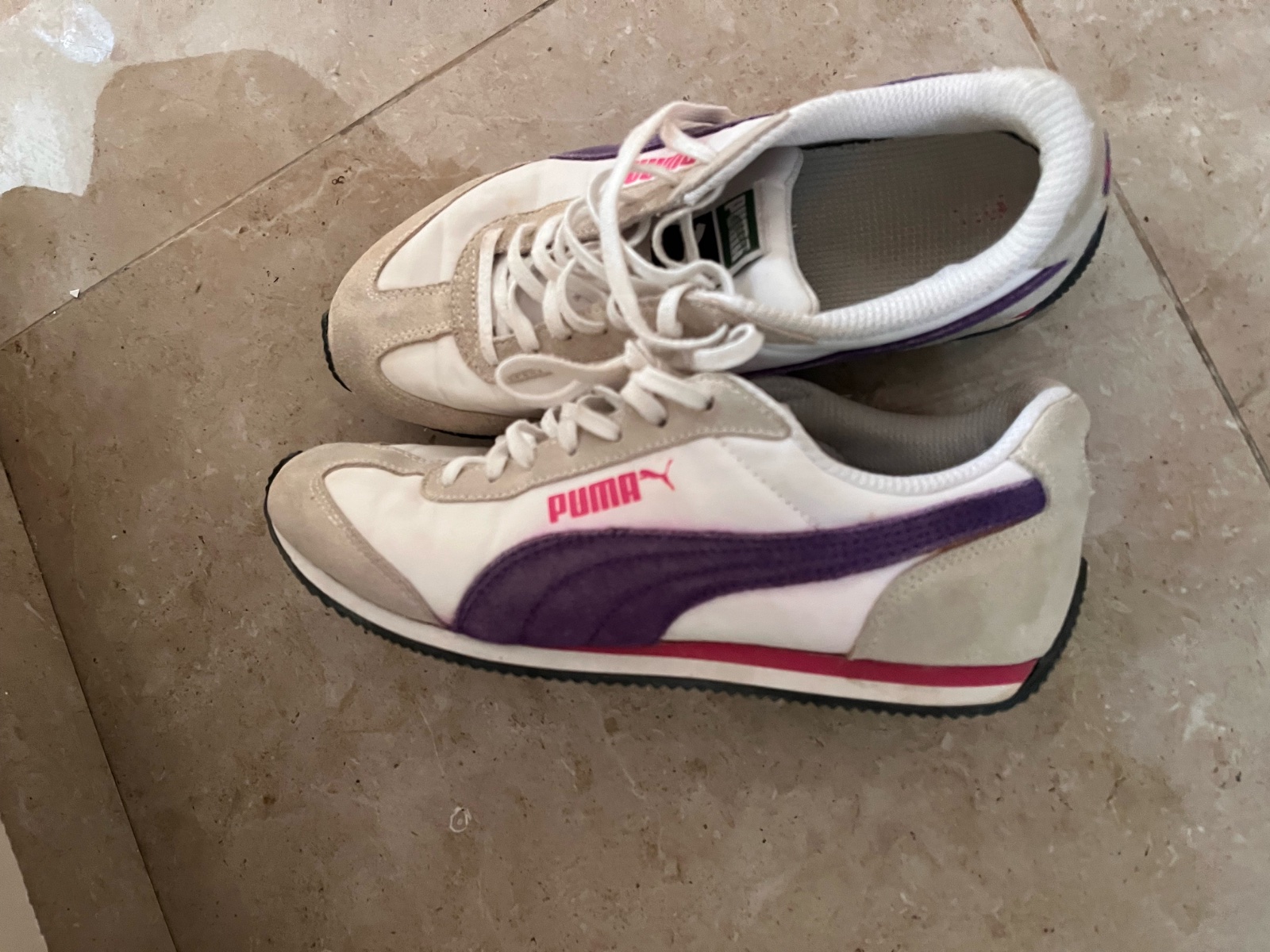 Puma