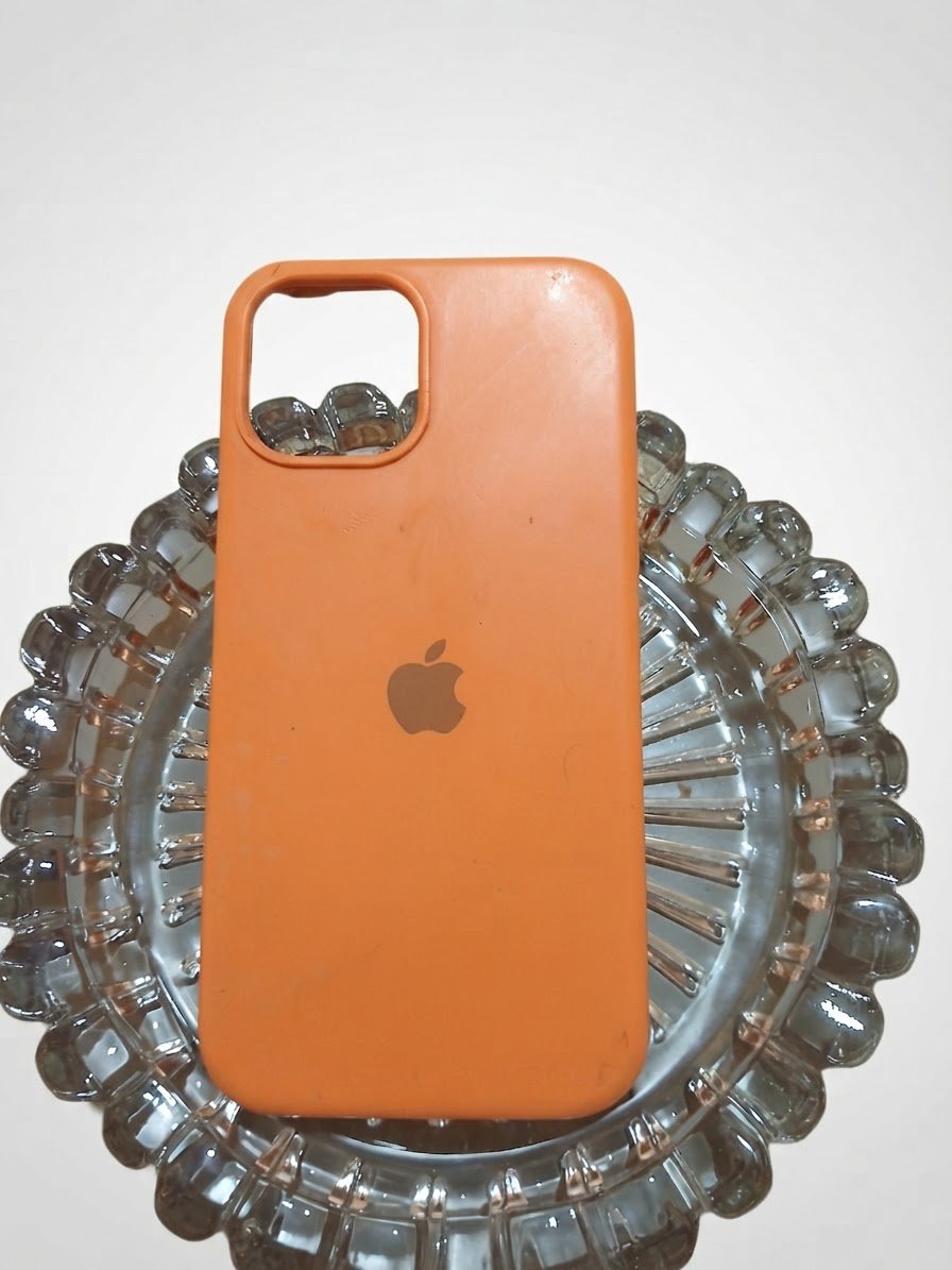 Cage iPhone 12
