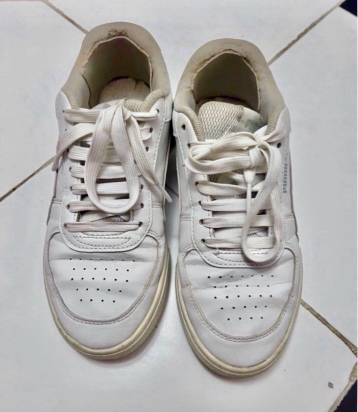 Basket puma