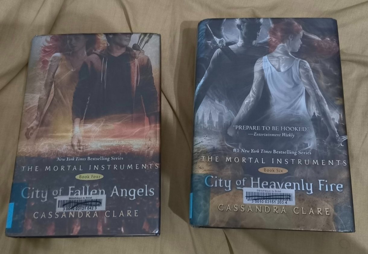 Book four and six of the mortal instruments series 