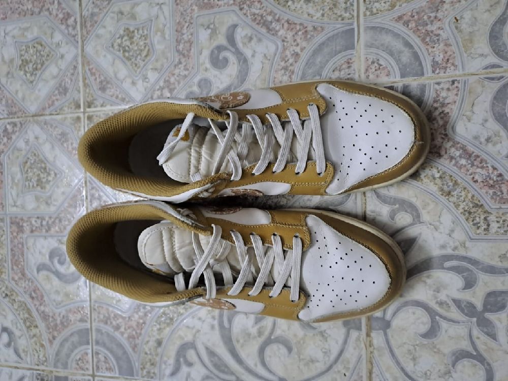 Nike sb
