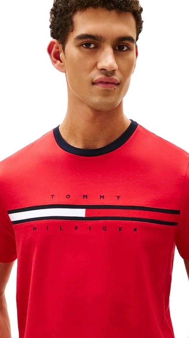 Pull tommy hilfiger pour homme 