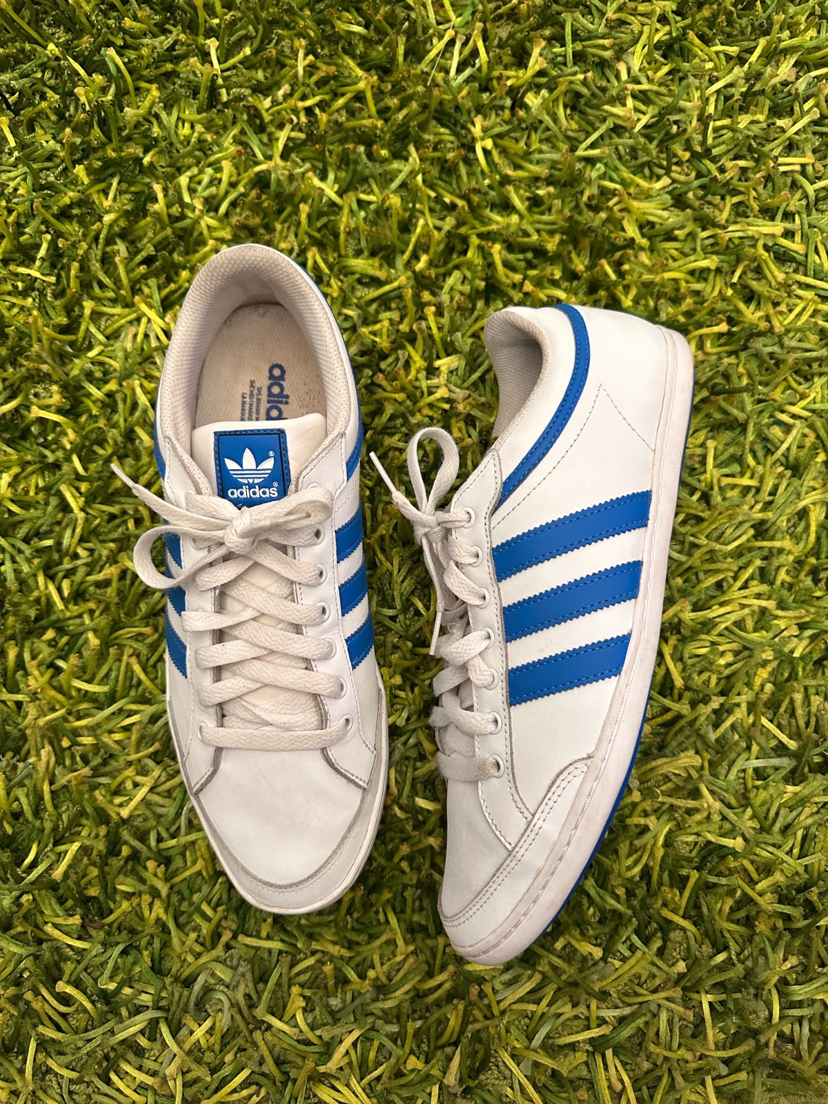 Adidas Plimcana Low P44