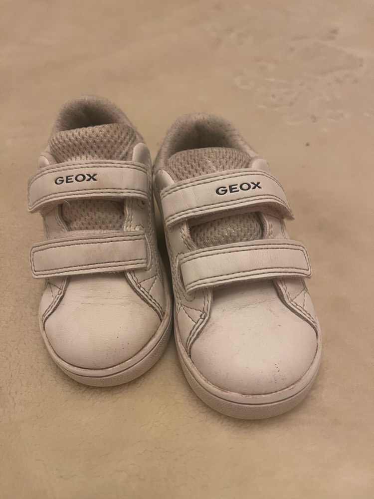 Basket geox 22