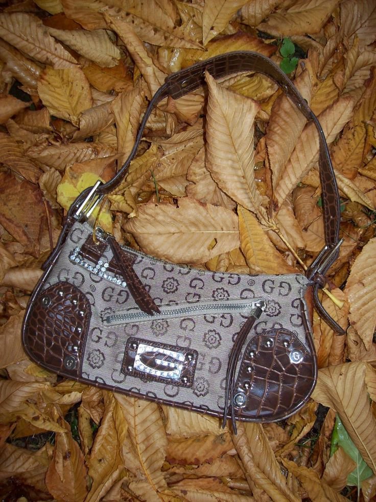 Sac guessaci