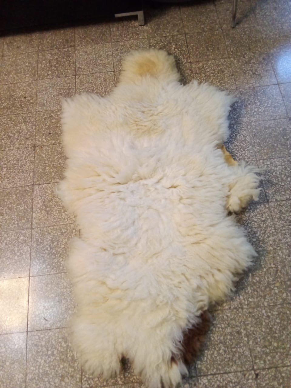 جلد علوش tapis en peau naturel du mouton 150/80 cm